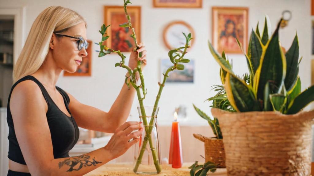 10 plantas que no debes tener en casa porque atraen la mala suerte