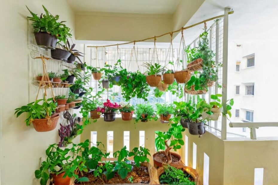 5 Consejos para cultivar plantas comestibles en espacios pequeños