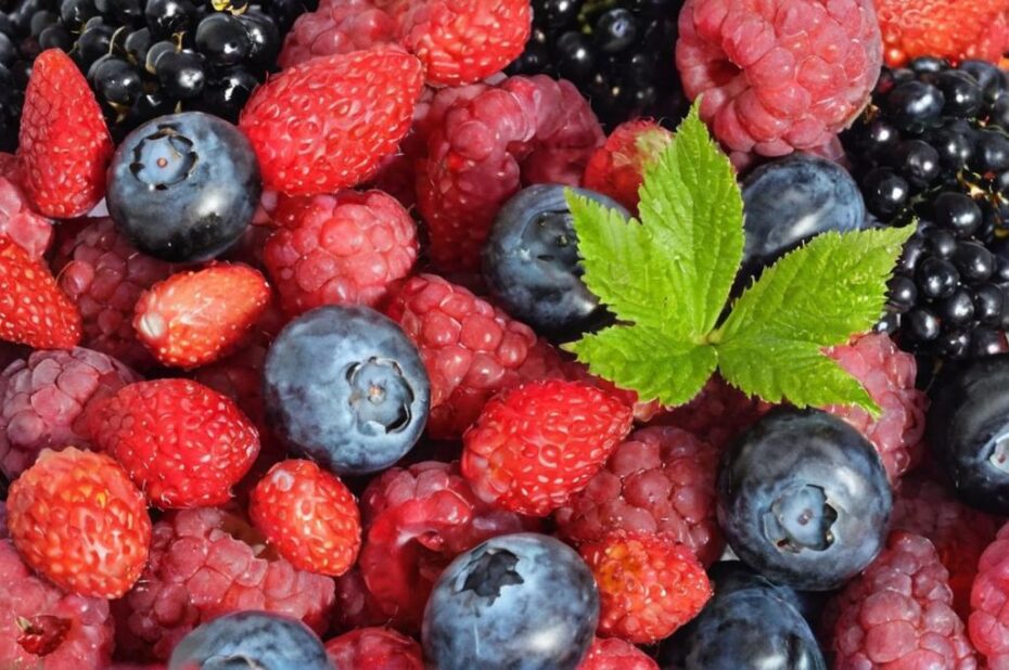 5 Frutas silvestres que podemos encontrar en verano en España