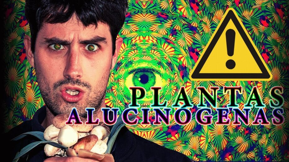 Plantas alucinógenas del mundo: Descubre las 9 más fascinantes
