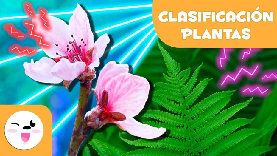 Plantas con y sin flores: 9 ejemplos que debes conocer
