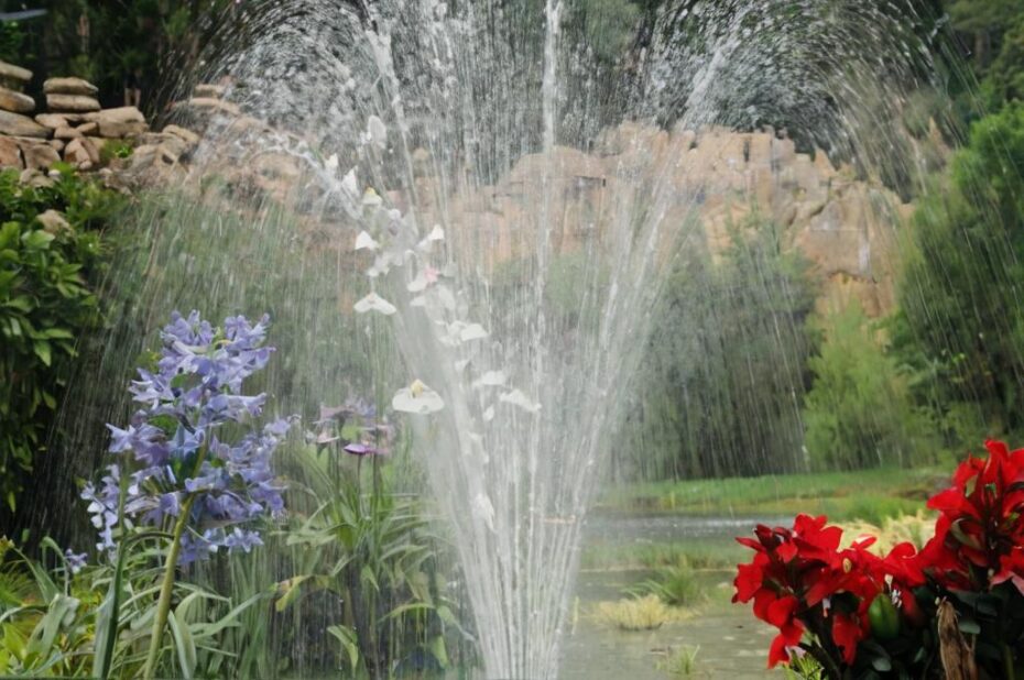 ¿A quién contratar para reformar el jardín?