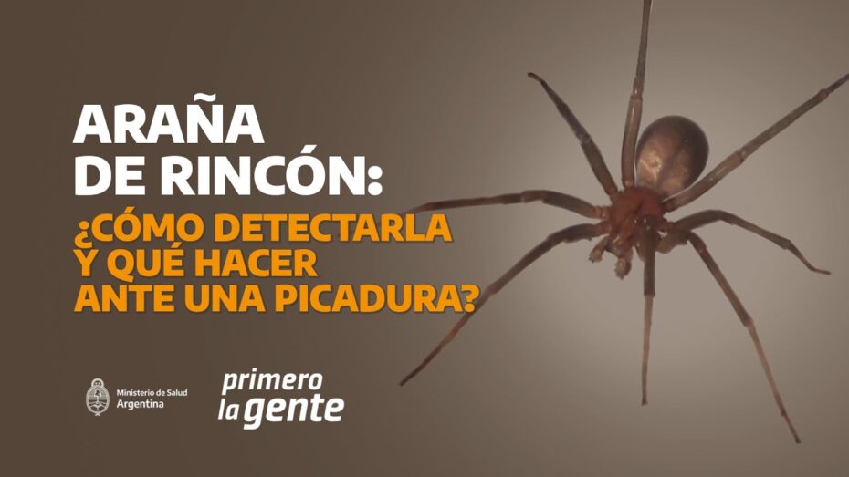 Tratamiento y daños causados por la araña amarilla en las plantas