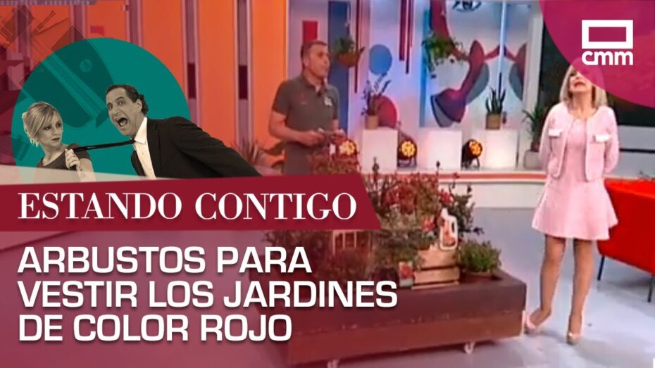 Arbustos de hojas rojas: Descubre las especies más impresionantes y cómo cuidarlas