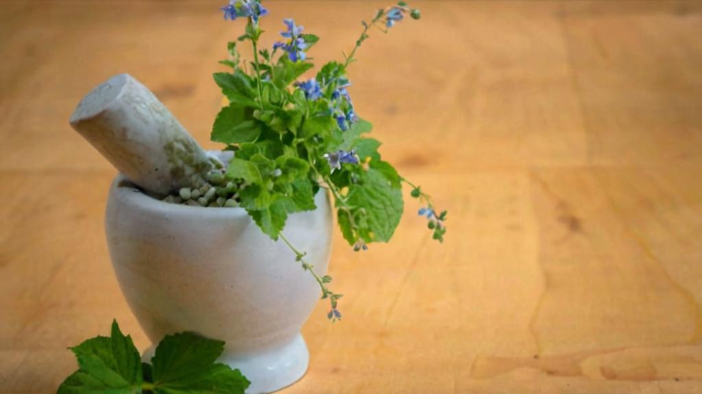 Beneficios de las flores aromáticas en la salud y el bienestar