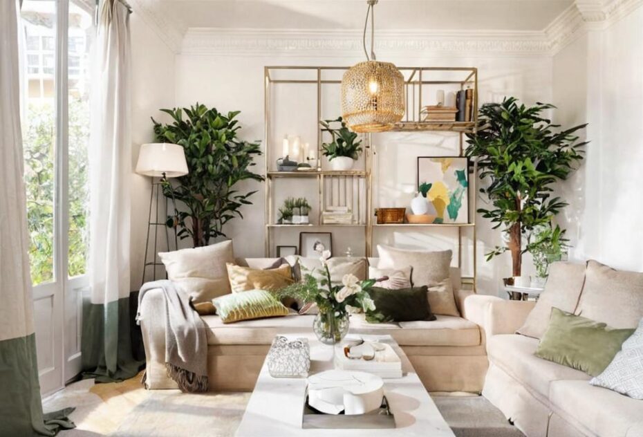 Beneficios de tener plantas en el salón: mejora tu bienestar y decoración