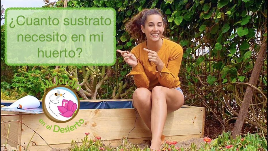 Calcula los litros de una maceta de forma precisa: Guía completa