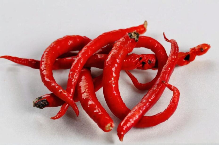 Características del chile de árbol