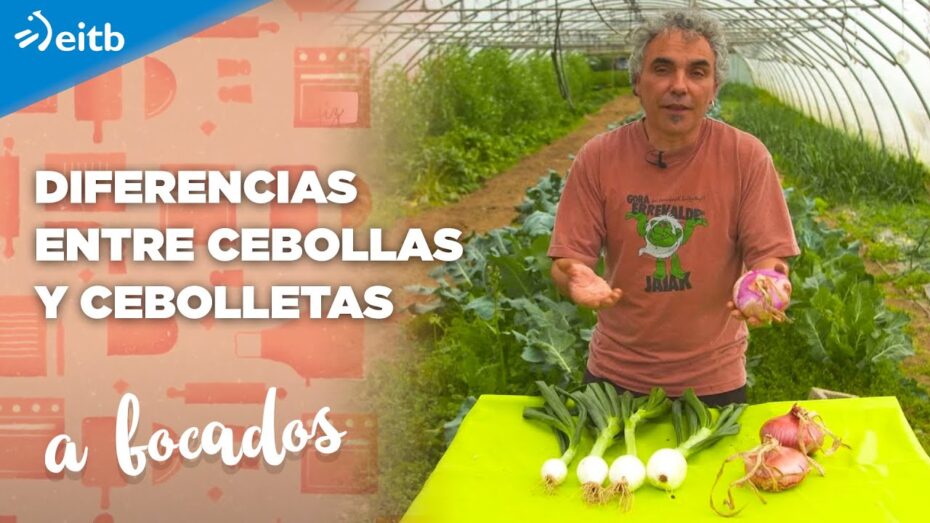Cultivo y beneficios de la cebolla de primavera: todo lo que necesitas saber