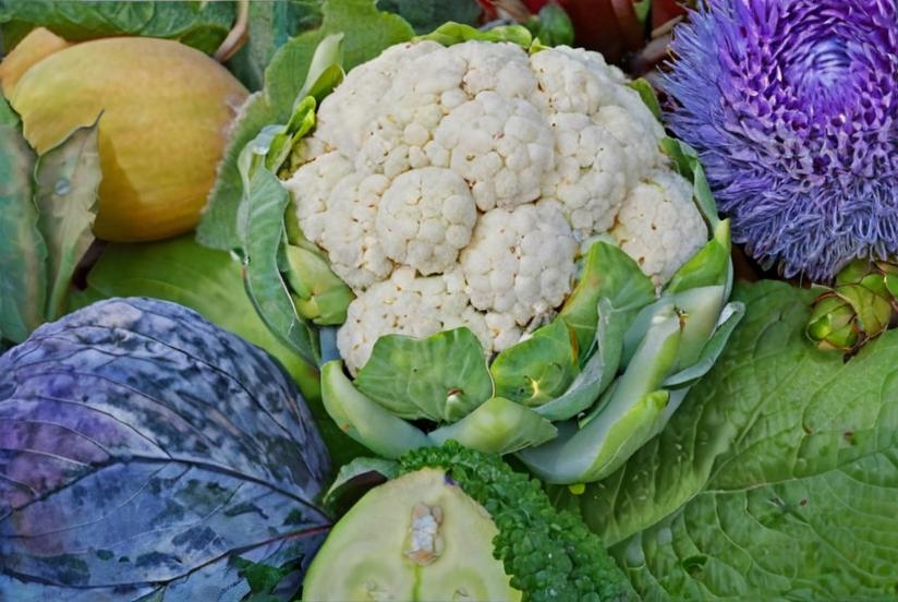 Coliflor: todo sobre esta planta
