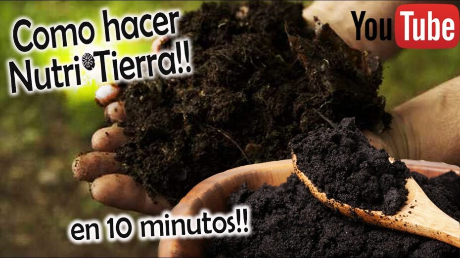 Abono de tierra para sembrar: Cómo optimizar y enriquecer el suelo