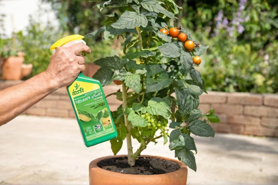 Cómo aplicar jabón potásico a las plantas