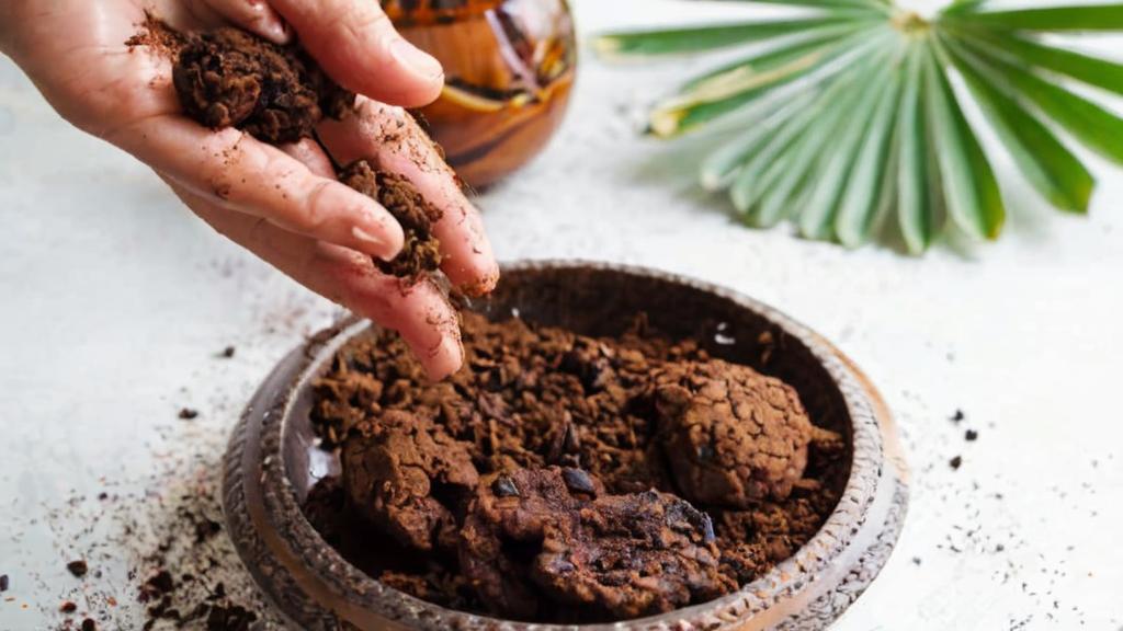 ¿Cómo aprovechar los posos de café para las plantas de interior?