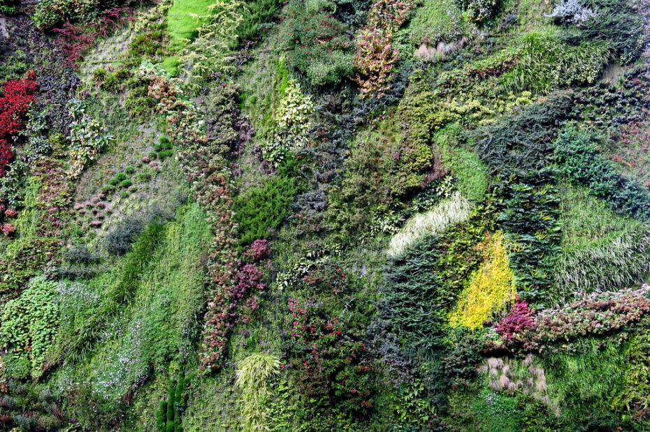 Decoración de terrazas económicas: Cómo embellecer tu espacio al aire libre sin gastar mucho