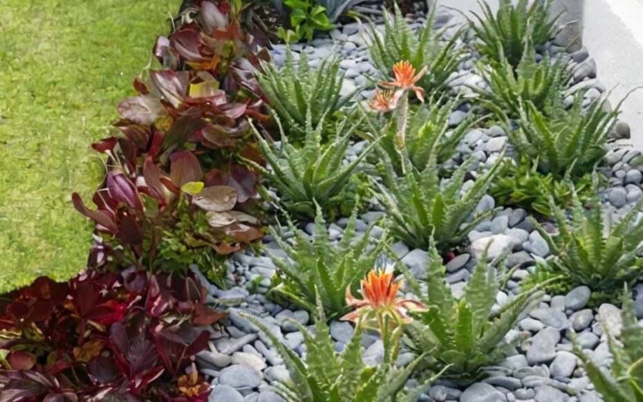 Cómo decorar un jardín con piedras y plantas