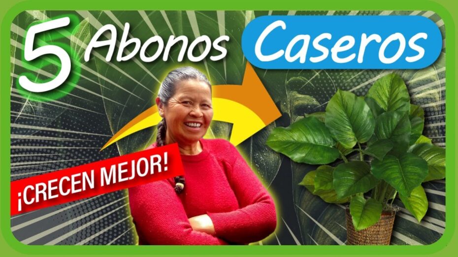 Abono casero para plantas en maceta: cómo hacerlo paso a paso