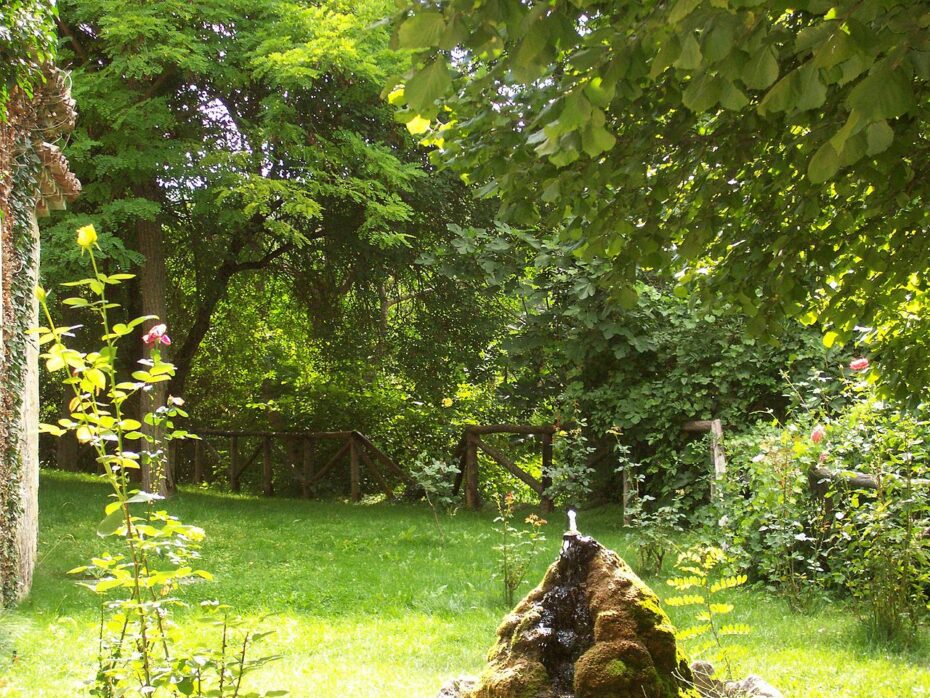 Consejos expertos para hacer florecer los rosales: cómo lograr un jardín lleno de color