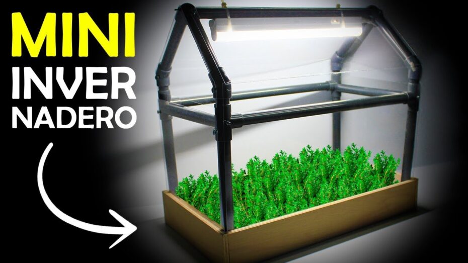 Mini invernadero: Cómo hacerlo paso a paso para cultivar plantas con éxito