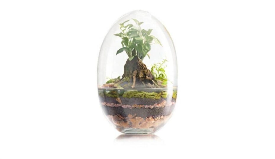 Cómo hacer un jardín eterno
