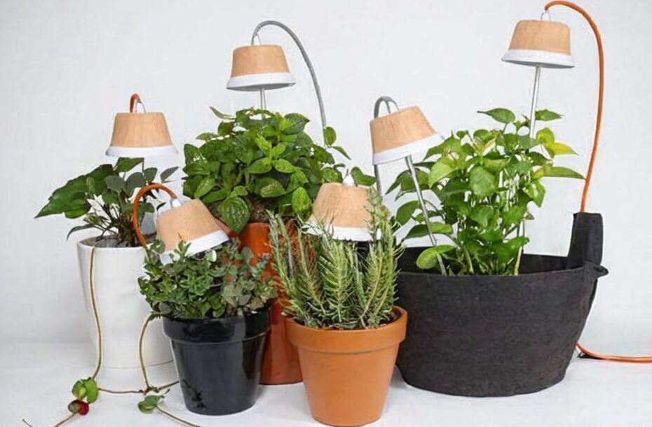 ¿Cómo iluminar las plantas de interior con luz artificial?