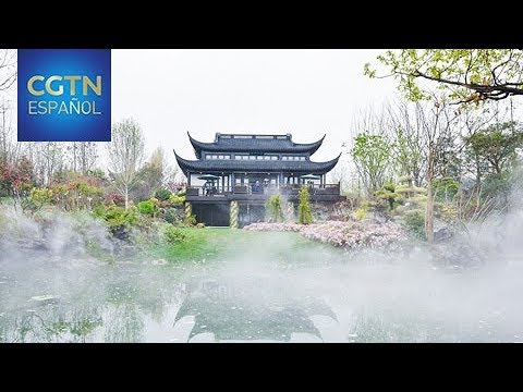 Jardín chino: Descubre cómo es este fascinante oasis botánico