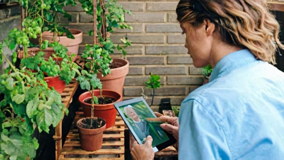 Cómo saber el nombre de tu planta