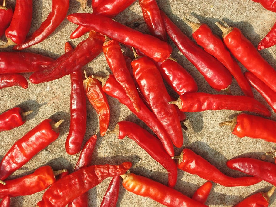 Secado rápido y sencillo de pimientos: cómo hacerlo de manera fácil
