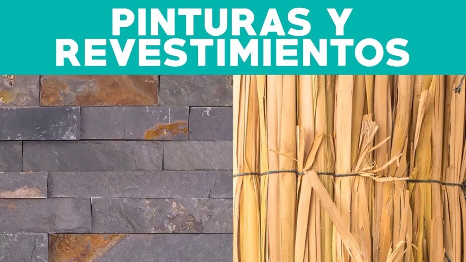Tapar un muro feo: Descubre cómo embellecerlo con plantas y botánica