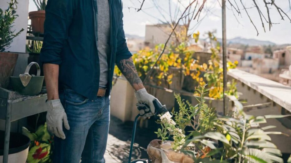 Cómo y cuánto regar tus plantas de interior y exterior cuando vienen olas de calor