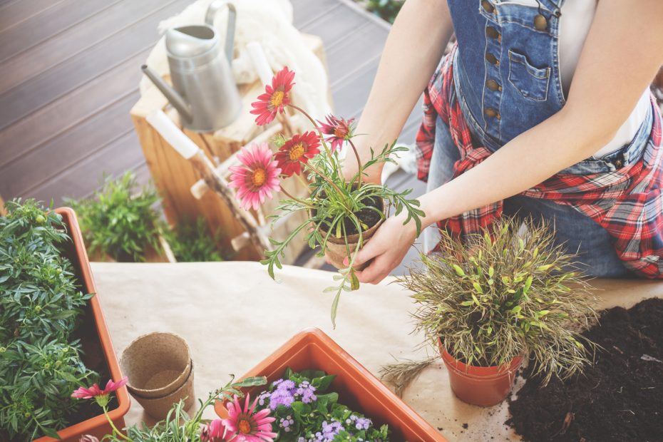 Guía completa para comprar un banco de trabajo para jardinería
