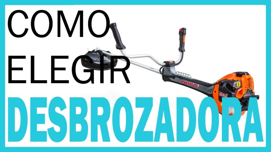 Cortabordes: Cómo comprar la herramienta perfecta para el cuidado de tus plantas