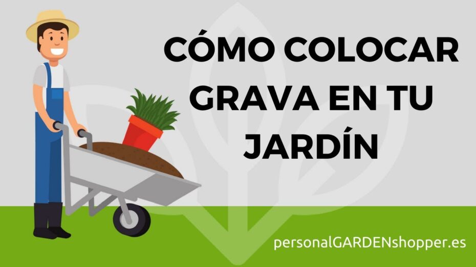 Guía completa: Cómo comprar gravilla para jardín y crear un entorno botánico impresionante