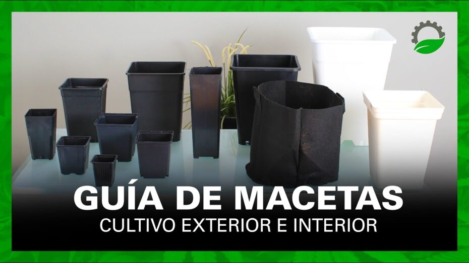 Guía completa para comprar maceteros grandes de exterior: Tips y recomendaciones
