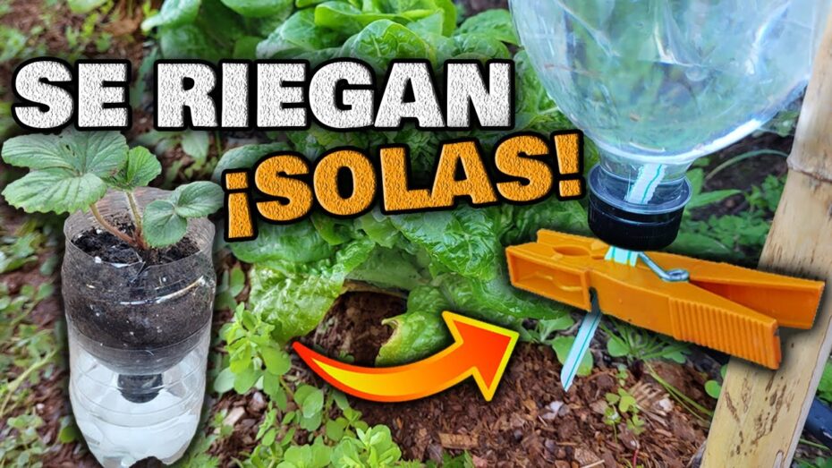 Riego automático para macetas: Guía completa de compra