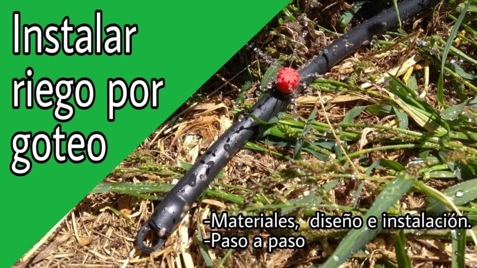 Guía completa: Cómo comprar un riego por goteo para tus plantas