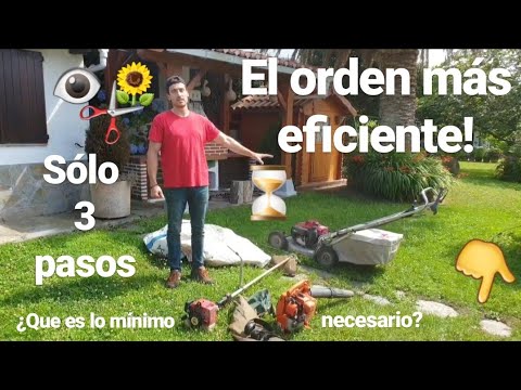 Mantenimiento del jardín: Consejos expertos para cuidar tus plantas y flores