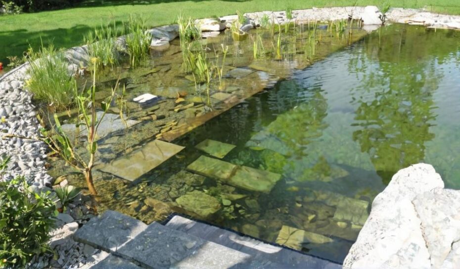 Cuáles son los beneficios de las piscinas naturalizadas