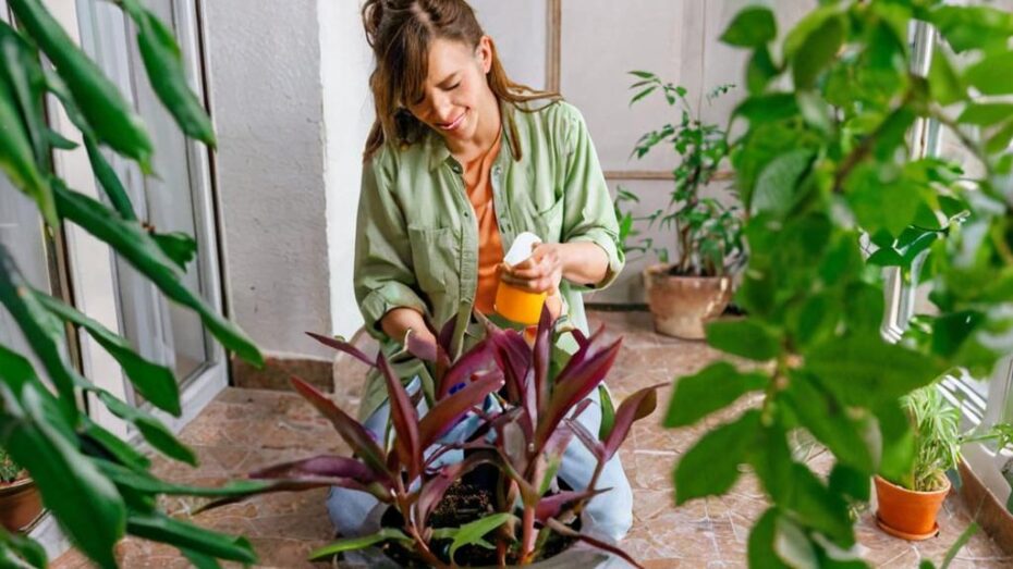 Cuidados básicos para plantas de exterior que marcan la diferencia