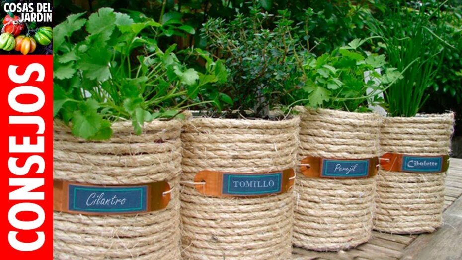 Cuidado de plantas aromáticas en el jardín: guía completa