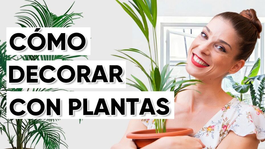 Plantas: Cómo decorar el salón de forma elegante y natural
