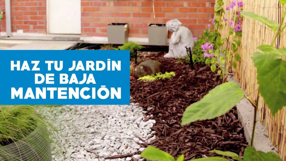 Jardín seco sin riego: Cómo diseñarlo de forma eficiente