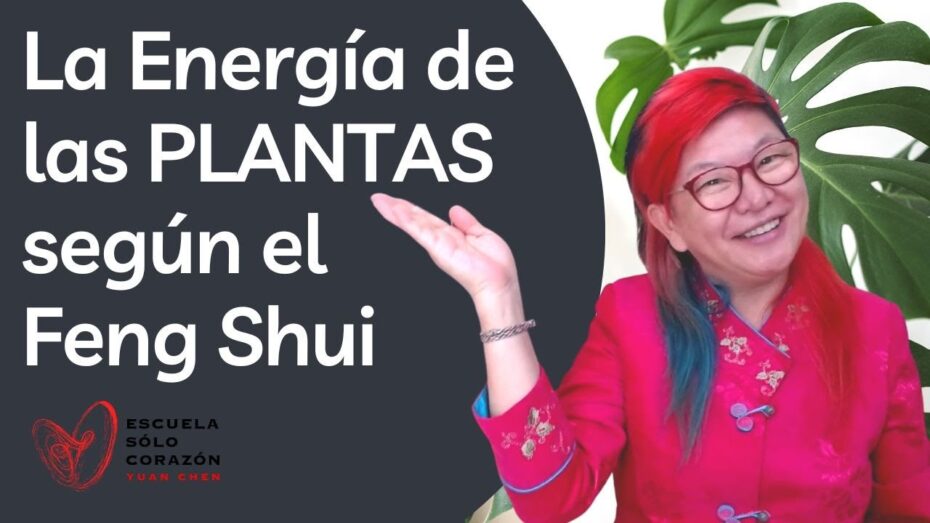 Feng Shui: Dónde colocar las plantas para armonizar tu hogar