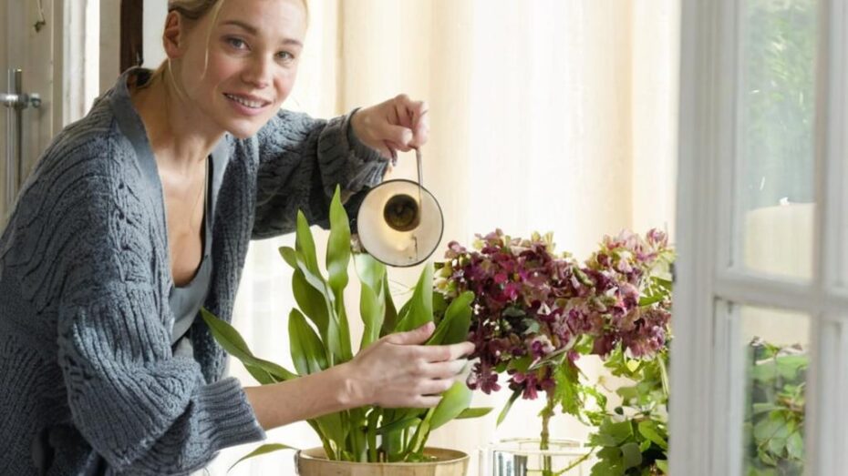 ¿El aire acondicionado es malo para las plantas?