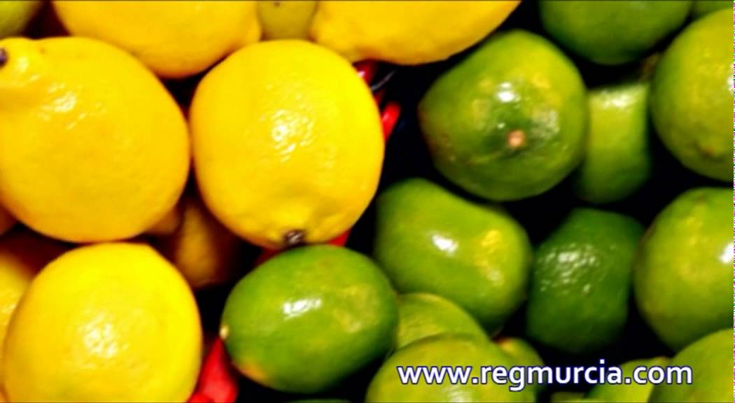 Descubre por qué el limón es una fruta esencial en la botánica y sus múltiples beneficios