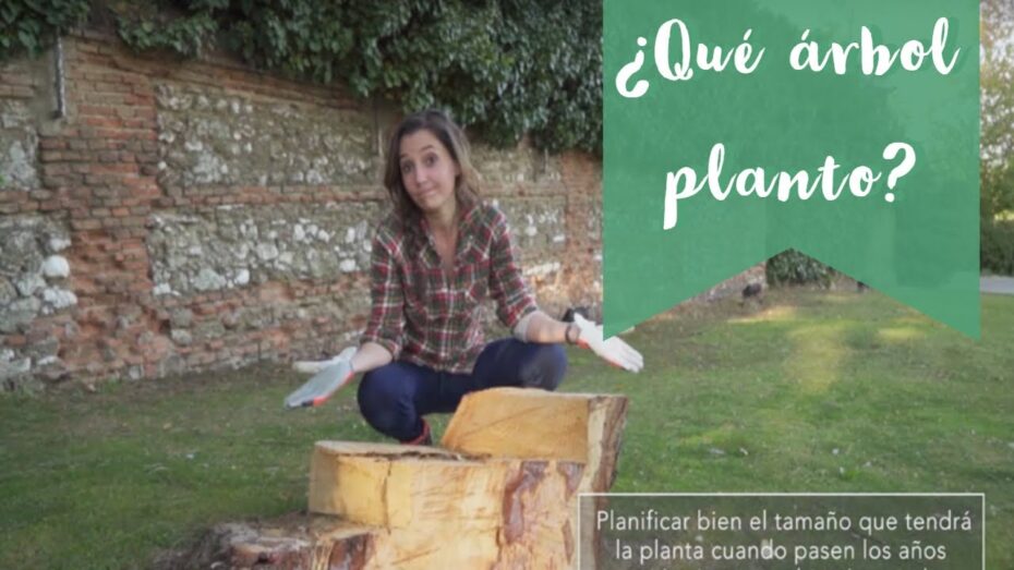 Guía para elegir árboles de jardín: Consejos de experto en plantas y botánica
