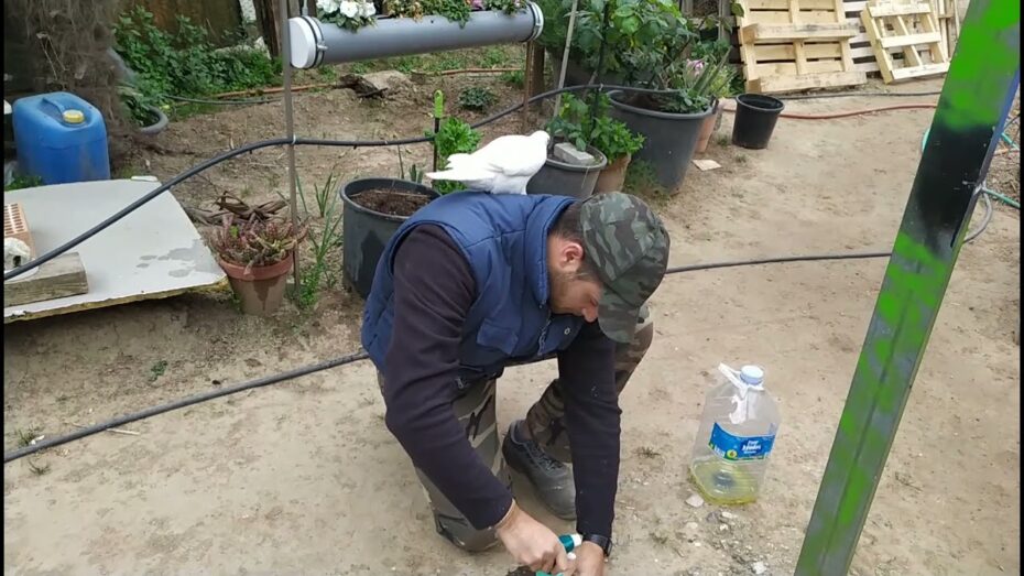 Elimina un avispero de manera efectiva: consejos y técnicas para deshacerte de las avispas