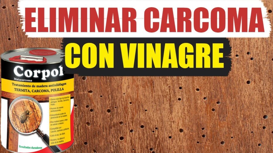 Elimina la carcoma con vinagre: consejos expertos de botánica y plantas
