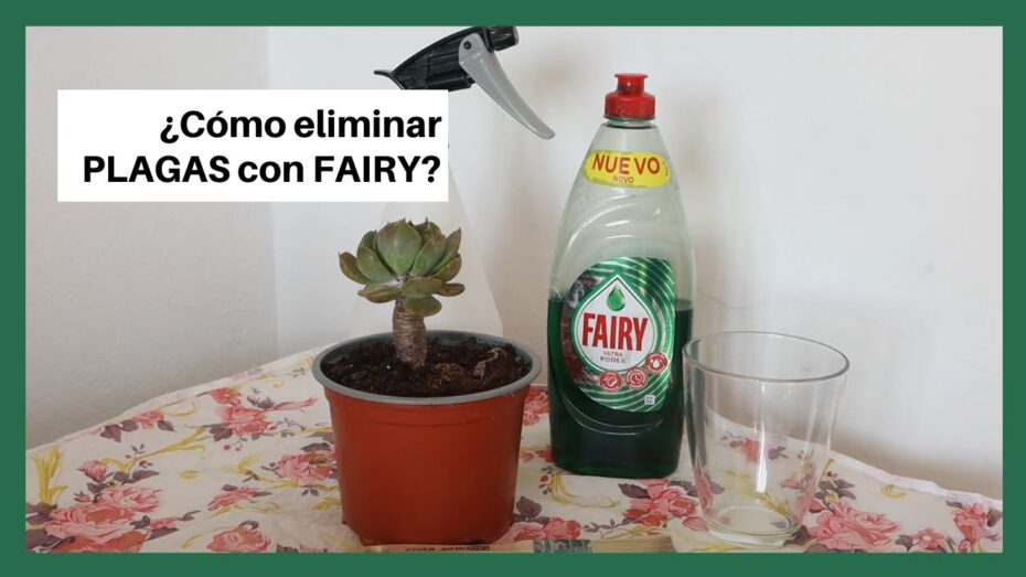 Pulgón: Cómo eliminarlo eficazmente con Fairy y proteger tus plantas