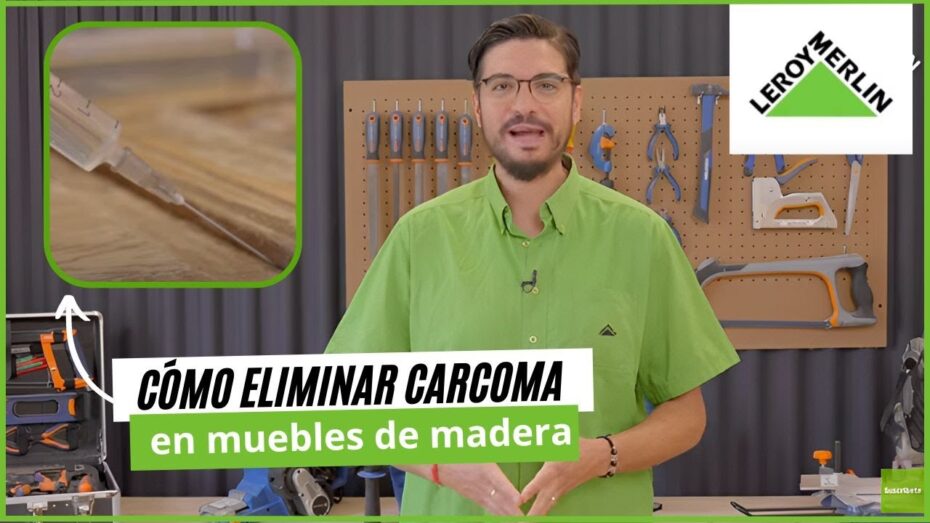 Eliminación de termitas y carcoma: Cómo deshacerte de estos insectos en tu hogar