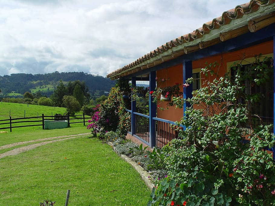 Pérgola casera: Aprende cómo hacerla paso a paso con consejos de experto en plantas y botánica
